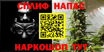 крисы Аша