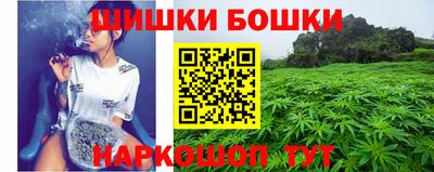 крисы Аша