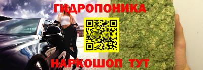 крисы Аша